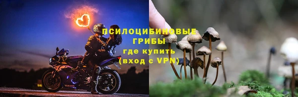 круглые Бронницы