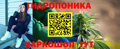соль ск Кулебаки