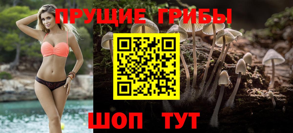 Псилоцибиновые грибы MAGIC MUSHROOMS  Вход с VPN  Полысаево 
